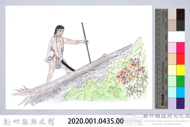 泰雅族的建築史：房屋篇-8立柱搭建1：尋找柱料藏品圖，第2張