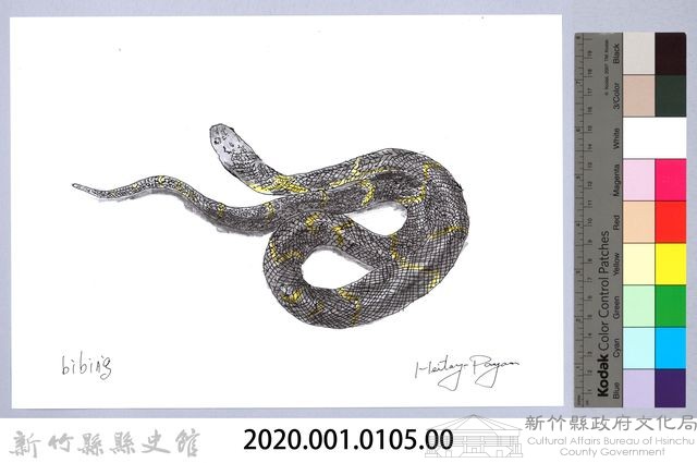 泰雅文物畫冊1-123眼鏡蛇藏品圖，第2張