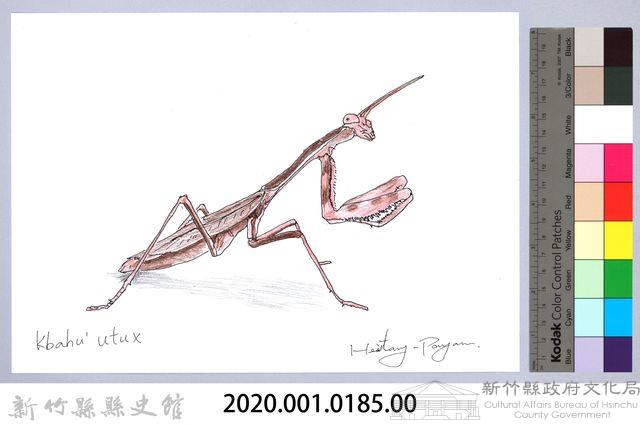 泰雅文物畫冊1-186枯葉大刀螳藏品圖，第2張