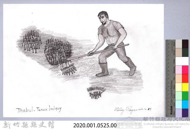 黑帶巴彥畫冊-8芒草林的開墾4：挖掘芒草根藏品圖，第2張