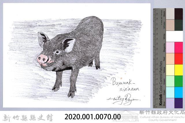 泰雅文物畫冊1-72約克夏豬藏品圖，第2張