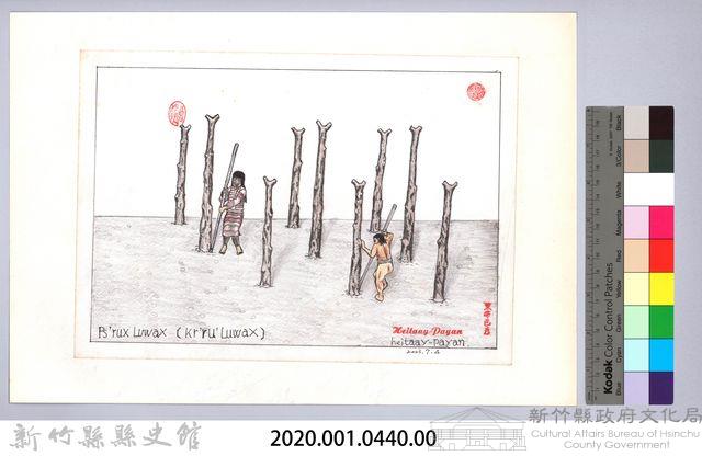 泰雅族的建築史：房屋篇-13茅草屋搭建1：立柱藏品圖，第2張