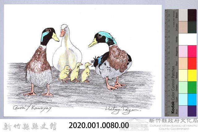 泰雅文物畫冊1-82鴨藏品圖，第2張