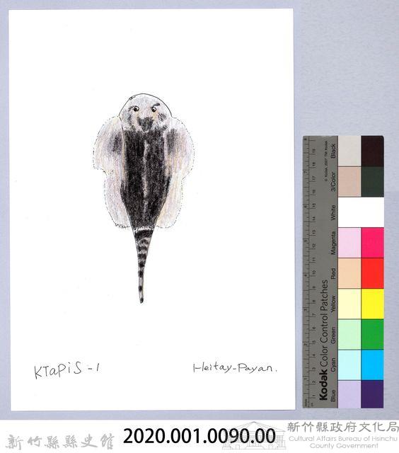 泰雅文物畫冊1-92台灣間爬岩鰍藏品圖，第2張