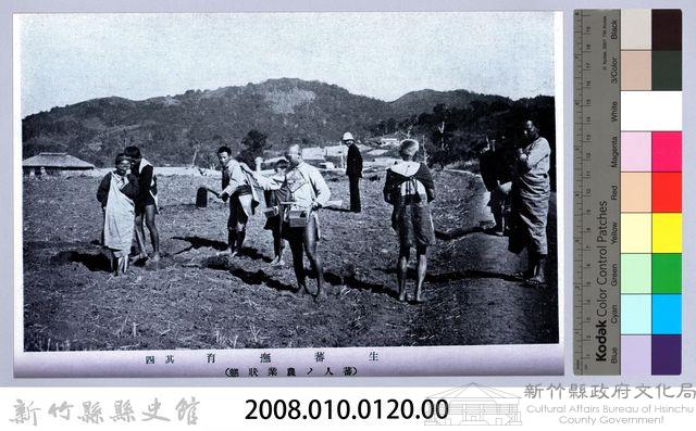 理蕃志稿老照片─生蕃撫育其四（蕃人ノ農業狀態）藏品圖，第2張