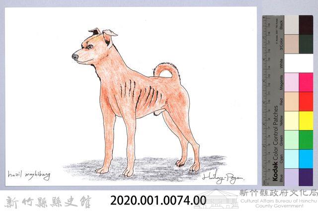 泰雅文物畫冊1-76黃犬藏品圖，第2張