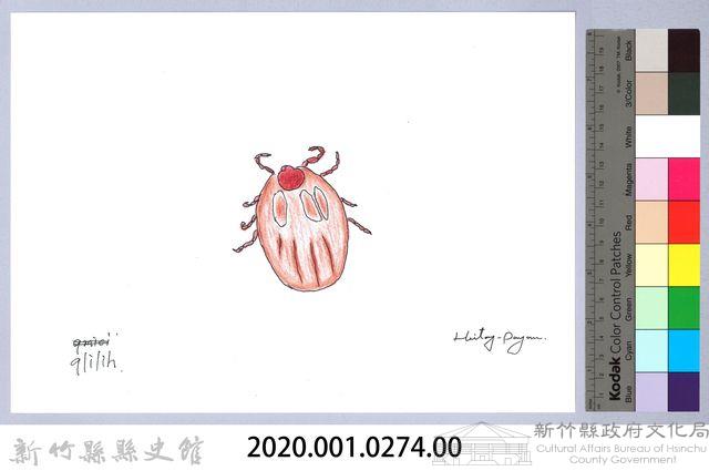 泰雅文物畫冊3-29壁蝨藏品圖，第2張