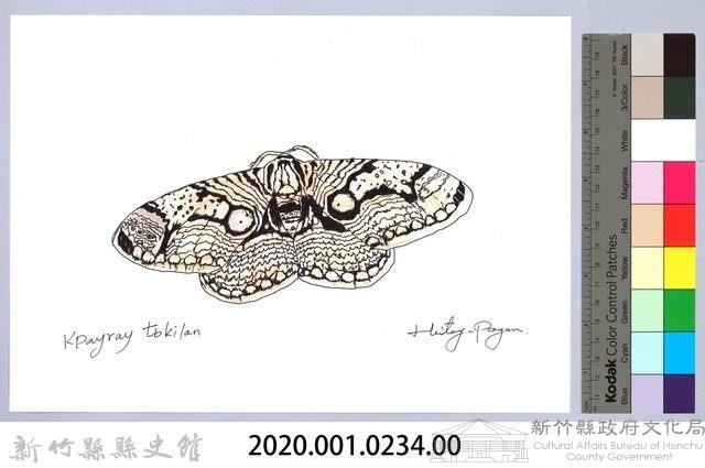 泰雅文物畫冊2-46四黑目天蠶蛾藏品圖，第2張