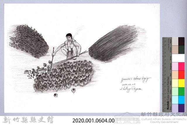黑帶巴彥畫冊-58採收苧麻2：去除苧麻葉藏品圖，第2張