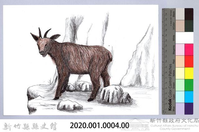 泰雅文物畫冊1-4台灣長鬃山羊藏品圖，第2張
