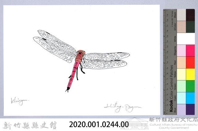 泰雅文物畫冊2-56海霸蜻蜓藏品圖，第2張