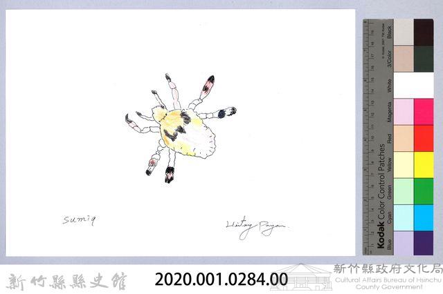 泰雅文物畫冊3-39體蝨-1藏品圖，第2張