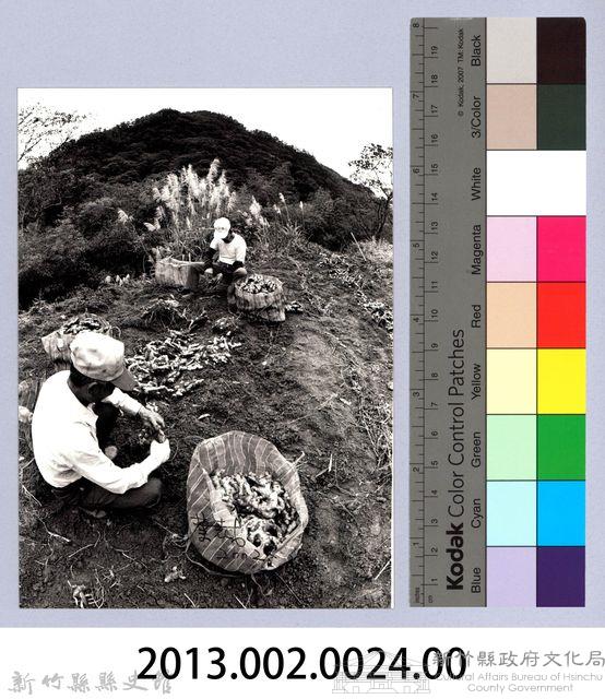 種薑人家（2002，北埔）藏品圖，第2張