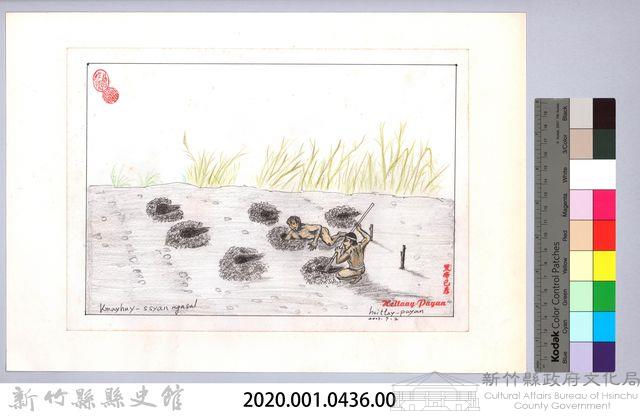 泰雅族的建築史：房屋篇-9立柱前的準備：合力挖柱坑藏品圖，第2張