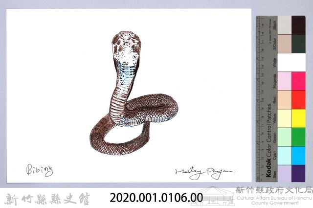 泰雅文物畫冊1-124準備攻擊的眼鏡蛇藏品圖，第2張