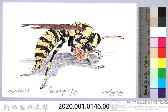 泰雅文物畫冊1-112黃長腳蜂藏品圖，第2張