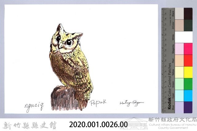 泰雅文物畫冊1-27領角鴞藏品圖，第2張