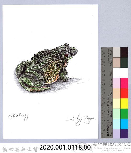 泰雅文物畫冊1-137盤古蟾蜍藏品圖，第2張