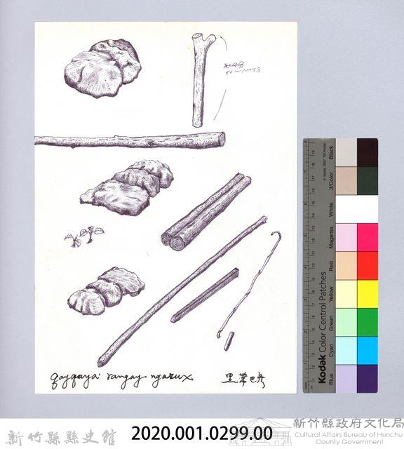 狩獵用具漁用-11石壓式陷阱1：陷阱材料藏品圖，第2張