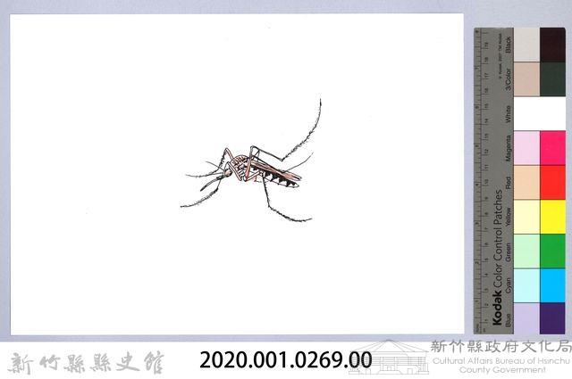 泰雅文物畫冊3-24家蚊藏品圖，第2張