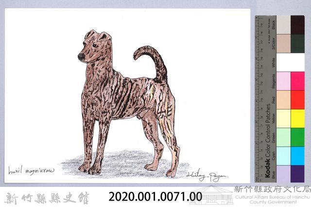 泰雅文物畫冊1-73黑褐犬藏品圖，第2張
