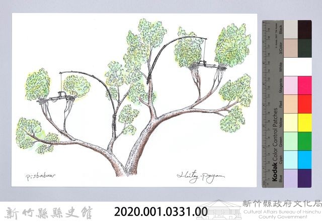 狩獵用具漁用-43樹上鳥類套腳式陷阱-2藏品圖，第2張