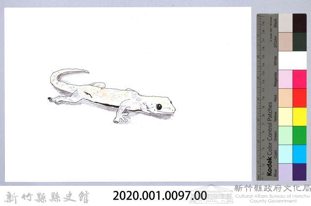 泰雅文物畫冊1-153壁虎藏品圖，第2張