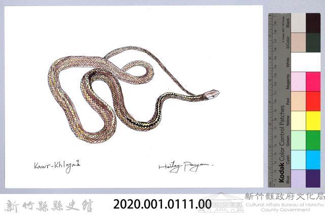 泰雅文物畫冊1-129過山刀藏品圖，第2張