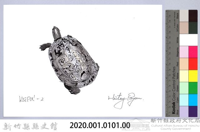 泰雅文物畫冊1-103金龜-1藏品圖，第2張