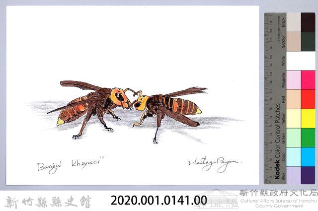 泰雅文物畫冊1-帝王蜂藏品圖，第2張