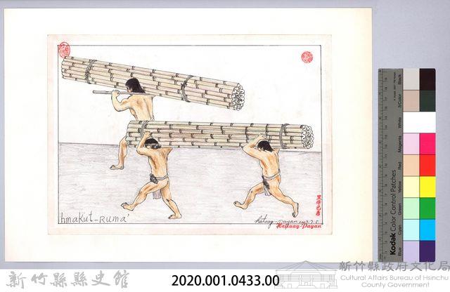 泰雅族的建築史：房屋篇-6搭建竹牆與竹屋頂1：竹子搬運藏品圖，第2張