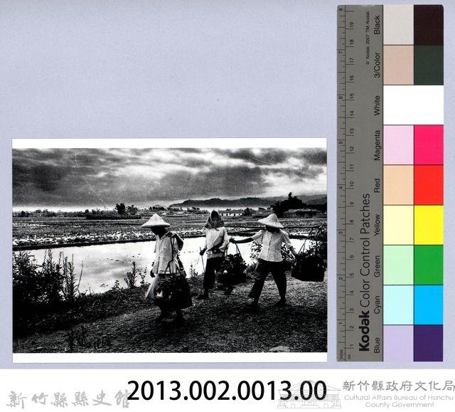 南埔田園（1967，北埔）藏品圖，第2張