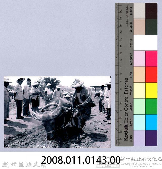 鄧雨賢相關照片134：牛墟藏品圖，第2張