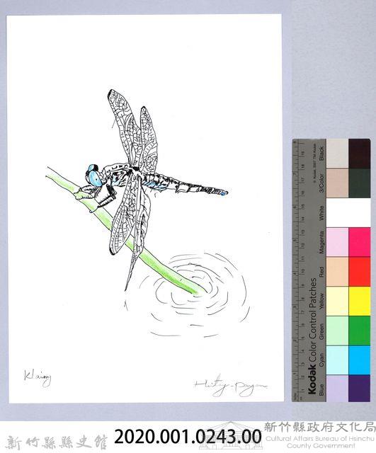 泰雅文物畫冊2-55線紋蜻蜓藏品圖，第2張