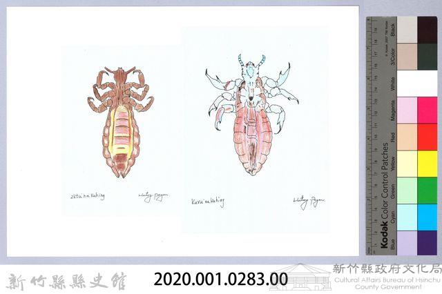 泰雅文物畫冊3-38頭蝨-4藏品圖，第2張