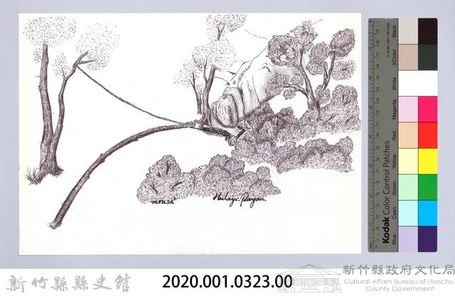 狩獵用具漁用-35大型動物套腳陷阱10：陷阱完成藏品圖，第2張