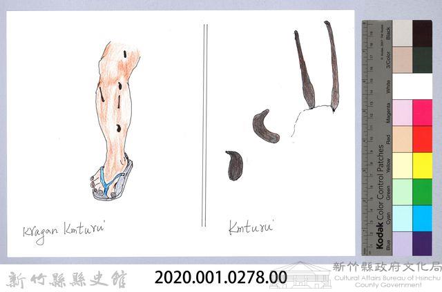 泰雅文物畫冊3-33水蛭吸血藏品圖，第2張