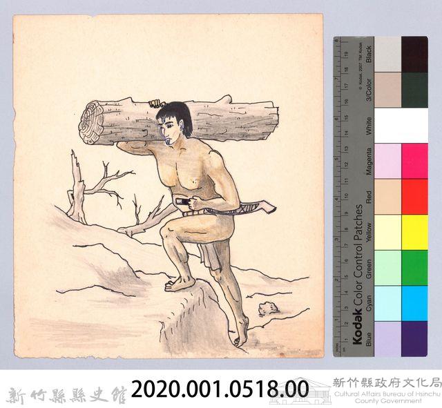 泰雅族的樂器與口傳-6木料取得與加工1：樹幹搬運藏品圖，第2張