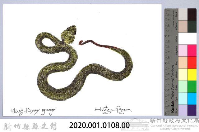 泰雅文物畫冊1-126赤尾青竹絲藏品圖，第2張
