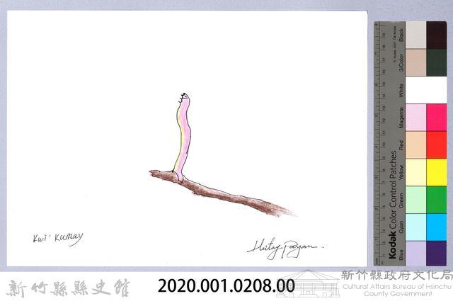 泰雅文物畫冊2-20尺蛾幼蟲藏品圖，第2張