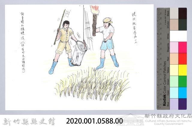 記憶中桃山村童玩的演進-18釣青蛙的接蛙法藏品圖，第2張