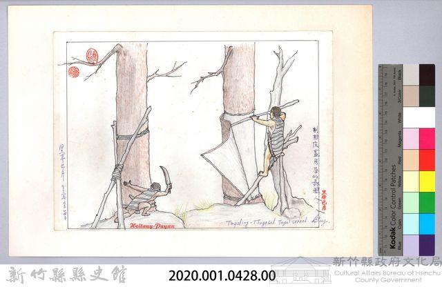 泰雅族的建築史：房屋篇-1採樹皮藏品圖，第2張