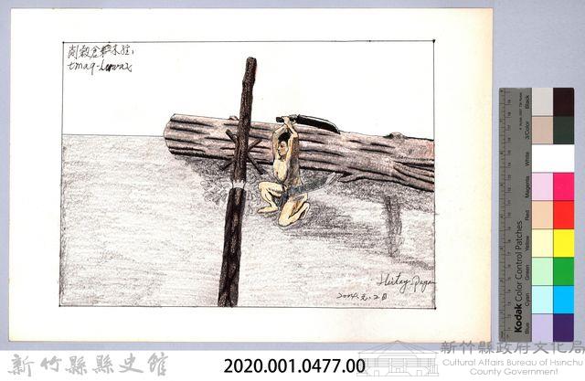 泰雅族的建築史：穀倉篇-8立柱搭建3：修柱子-1藏品圖，第2張