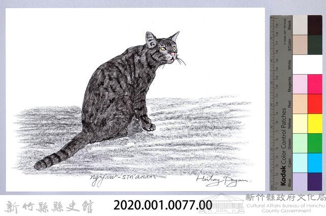 泰雅文物畫冊1-79家貓藏品圖，第2張