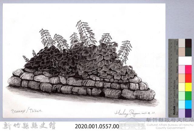 黑帶巴彥畫冊-64作物耕種：扁豆藏品圖，第2張