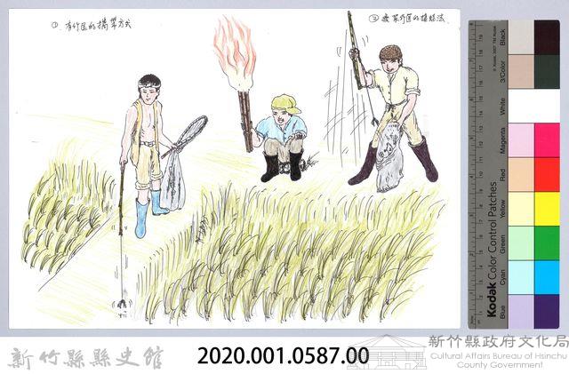 記憶中桃山村童玩的演進-17釣青蛙藏品圖，第2張