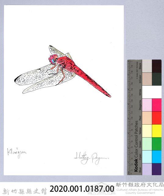 泰雅文物畫冊1-188黃基蜻蜓藏品圖，第2張