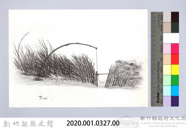 狩獵用具漁用-39鳥類套頸式陷阱藏品圖，第2張