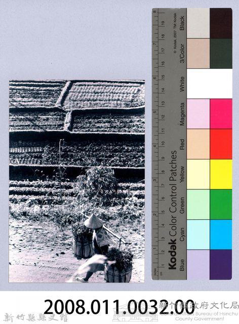 鄧雨賢相關照片23：挑擔藏品圖，第2張