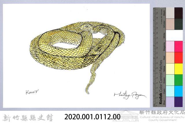 泰雅文物畫冊1-130王錦蛇藏品圖，第2張